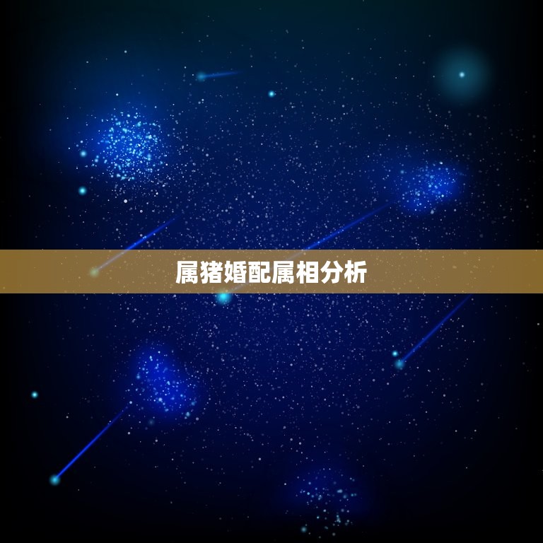 属猪婚配属相分析，属猪的属相婚配表  第1张