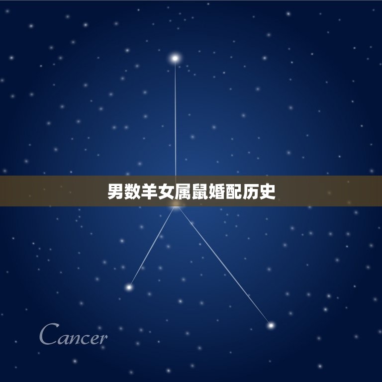 男数羊女属鼠婚配历史，男属羊和女属鼠的配吗  第1张