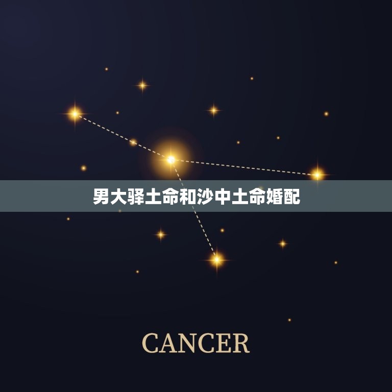 男大驿土命和沙中土命婚配，沙中土命应该和什么命格合婚？  第1张