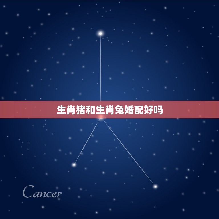 生肖猪和生肖兔婚配好吗，属猪和属兔的人婚配最好吗  第1张