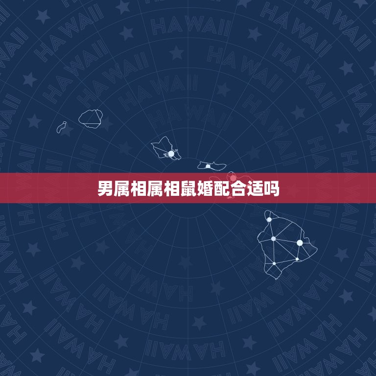 男属相属相鼠婚配合适吗，属鸡的和属鼠的婚姻配吗  第1张