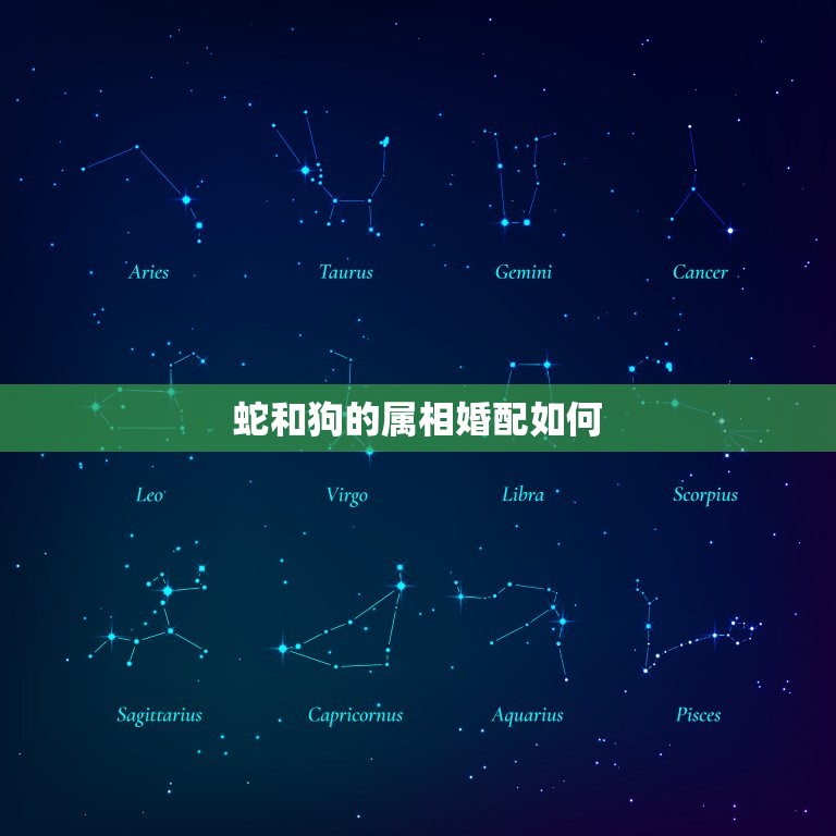 蛇和狗的属相婚配如何，十二生肖蛇狗搭配会怎么样  第1张