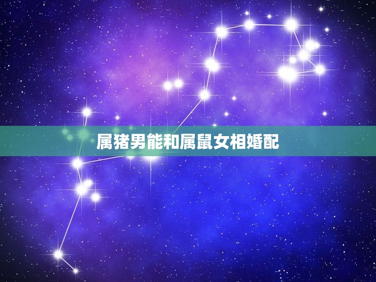 属猪男能和属鼠女相婚配，女人属猪男人属鼠能在一起吗:  第1张