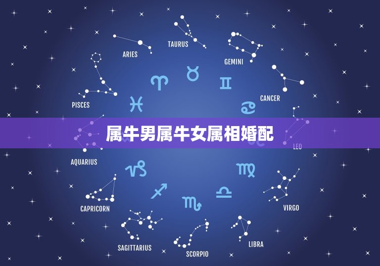 属牛男属牛女属相婚配，属牛的和什么属相最配 属牛的属相婚配表  第1张