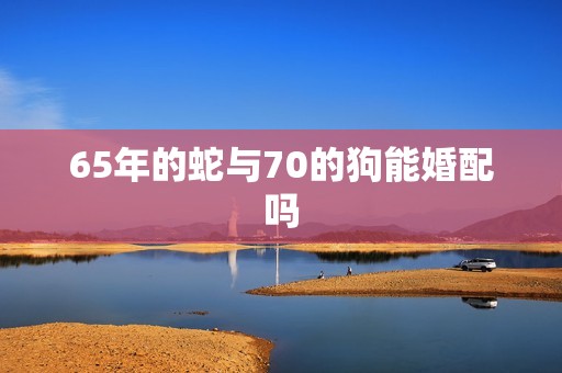 65年的蛇与70的狗能婚配吗，1965年蛇男和1970年狗女婚姻怎样  第1张