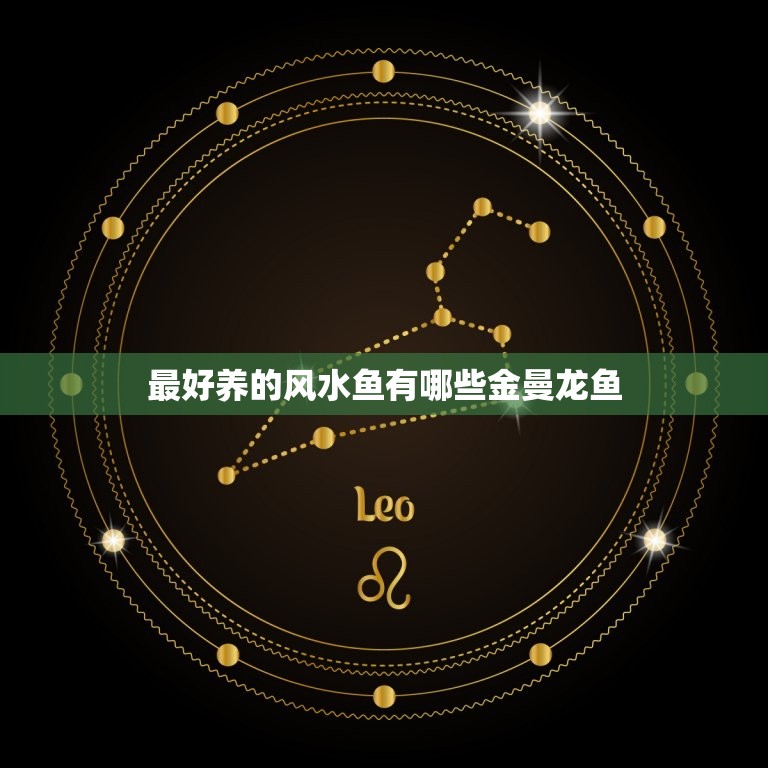 最好养的风水鱼有哪些金曼龙鱼，我能不能养风水鱼，养什么养的风水鱼较好  第1张