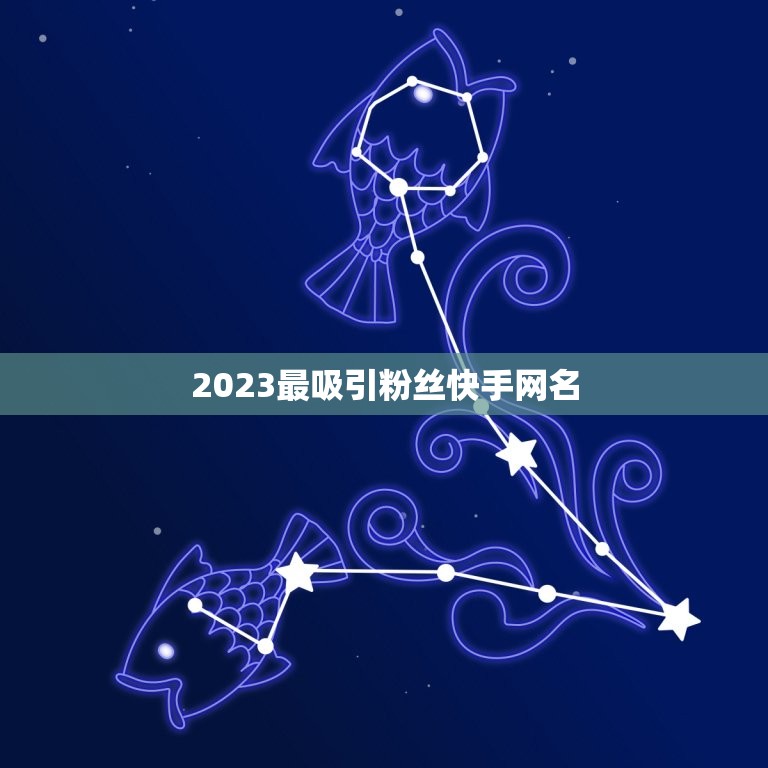 2023最吸引粉丝快手网名，2023最吸引粉丝快手网名