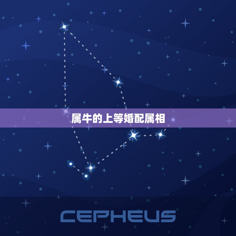 属牛的上等婚配属相，属牛和什么属相相配  第1张