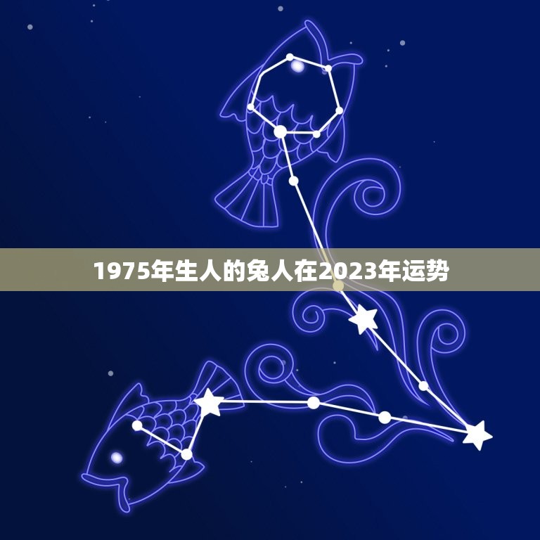 1975年生人的兔人在2023年运势，75年属兔的人2023年的运势及