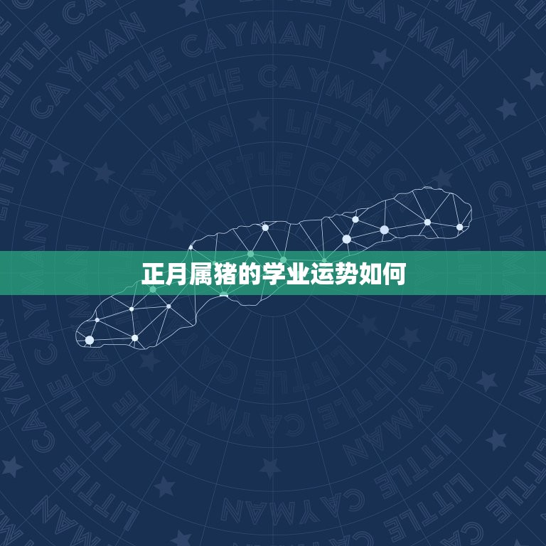 正月属猪的学业运势如何，2007年属猪出生正月运势  第1张