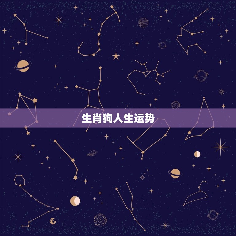 生肖狗人生运势，生肖狗2023年运势大全  第1张