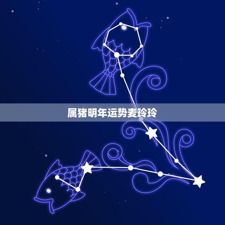 属猪明年运势麦玲玲，属猪明年2023运势如何  第1张