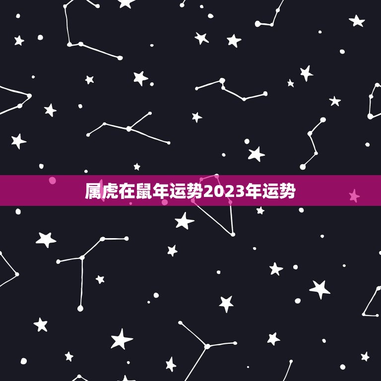 属虎在鼠年运势2023年运势