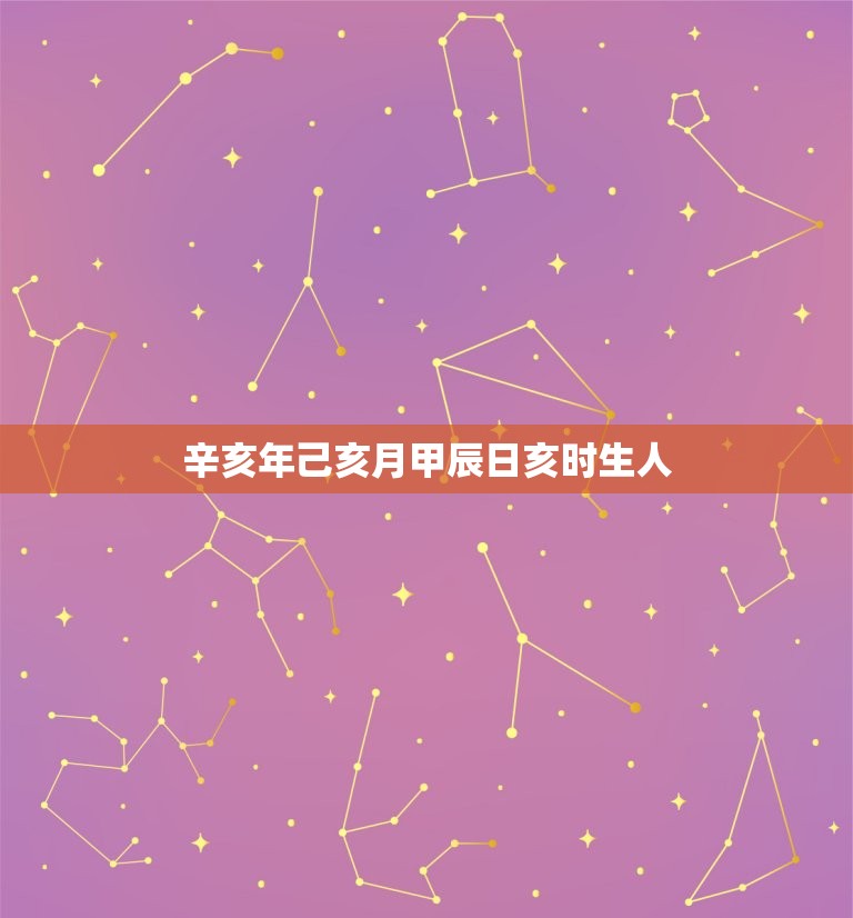 辛亥年己亥月甲辰日亥时生人  第1张