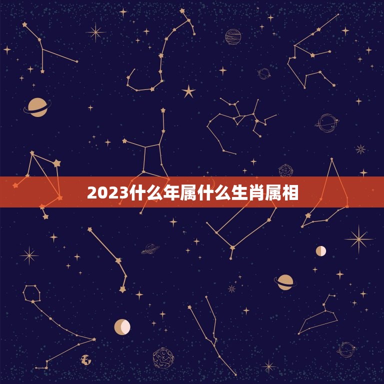 2023什么年属什么生肖属相