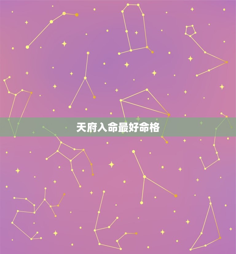 天府入命最好命格