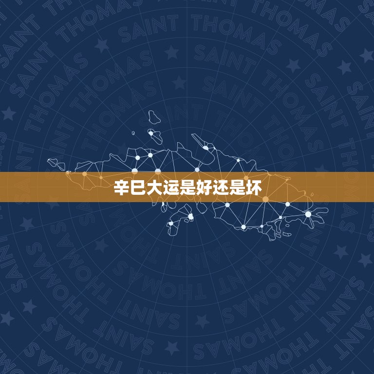 辛巳大运是好还是坏  第1张