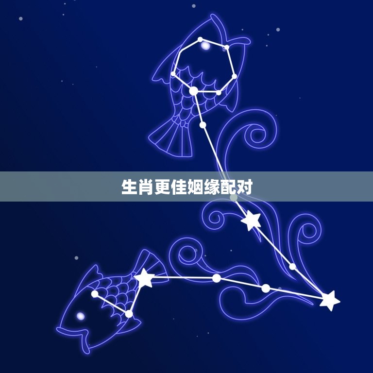 生肖更佳姻缘配对，十二生肖更佳姻缘配对  第1张