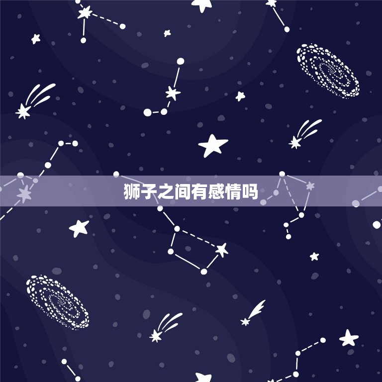 狮子之间有感情吗，人和狮子能建立感情吗  第1张