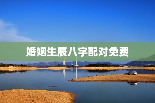 婚姻生辰八字配对免费，周易算命婚姻八字合婚免费的  第1张