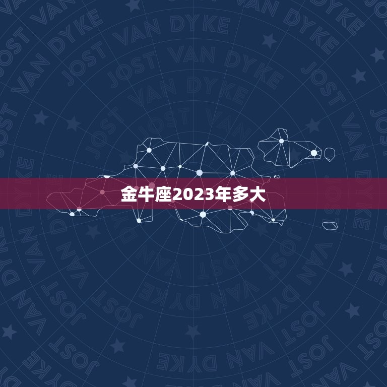 金牛座2023年多大，福特金牛座2023海外版