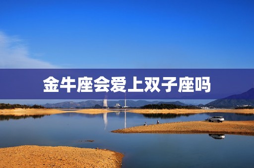 金牛座会爱上双子座吗，金牛是唯一治得了双子  第1张
