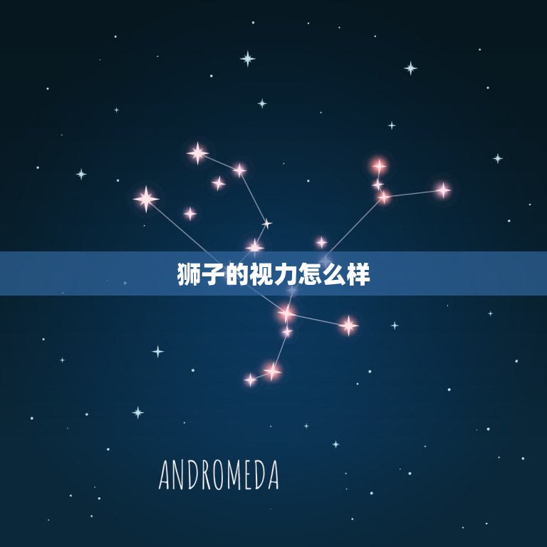 狮子的视力怎么样，狮子为何饿死也不吃草  第1张