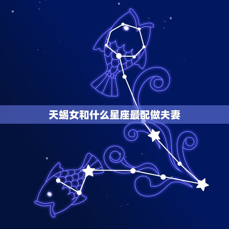 天蝎女和什么星座最配做夫妻，天蝎座和谁注定是夫妻  第1张