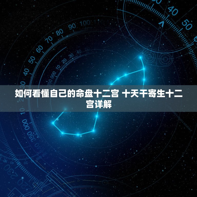 如何看懂自己的命盘十二宫 十天干寄生十二宫详解  第1张