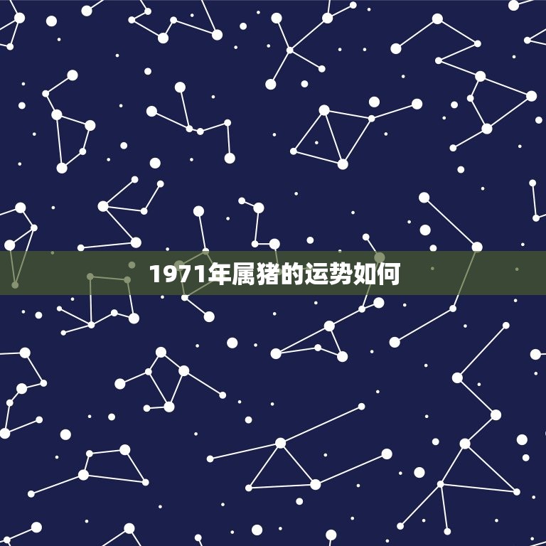 1971年属猪的运势如何 1971年属猪的财运  第1张