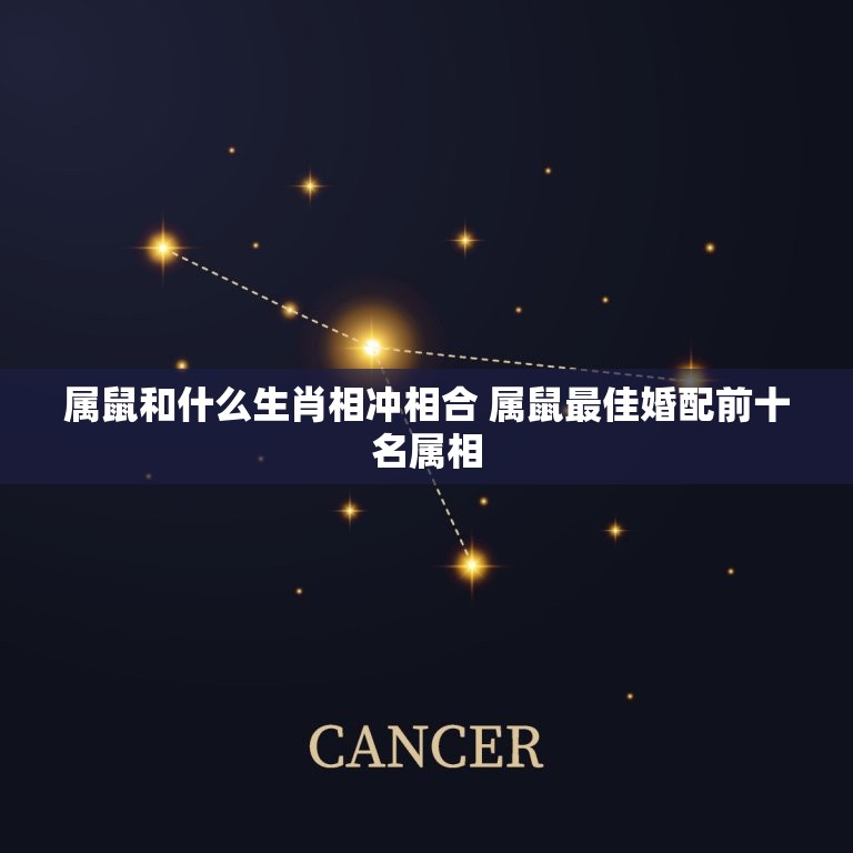 属鼠和什么生肖相冲相合 属鼠最佳婚配前十名属相  第1张