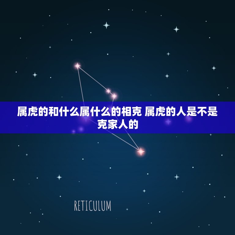 属虎的和什么属什么的相克 属虎的人是不是克家人的  第1张