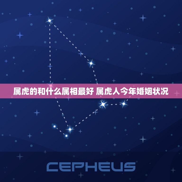 属虎的和什么属相最好 属虎人今年婚姻状况  第1张