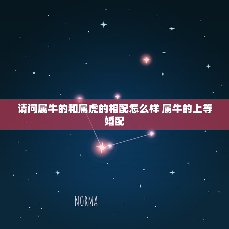 请问属牛的和属虎的相配怎么样 属牛的上等婚配  第1张