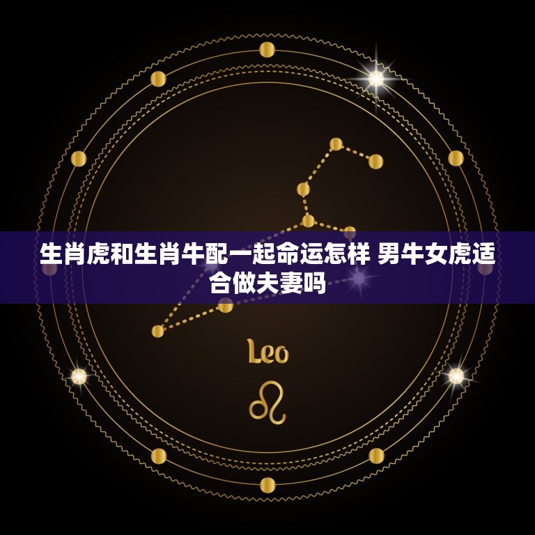 生肖虎和生肖牛配一起命运怎样 男牛女虎适合做夫妻吗  第1张
