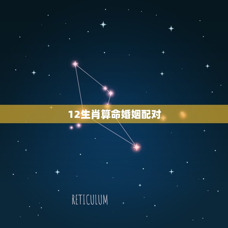 12生肖算命婚姻配对 12生肖最佳姻缘配对表  第1张