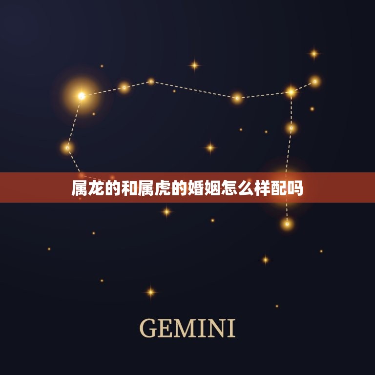 属龙的和属虎的婚姻怎么样配吗 属龙人最佳婚配  第1张
