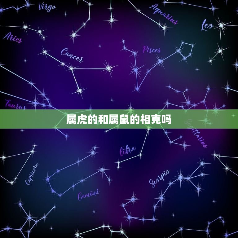 属虎的和属鼠的相克吗 属虎和什么生肖相克  第1张