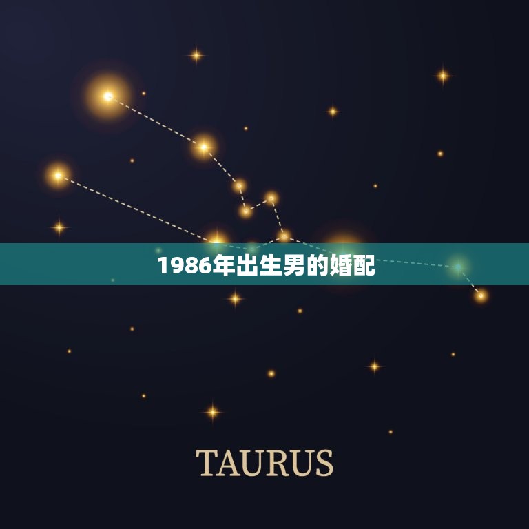 1986年出生男的婚配 86属虎男最佳婚配属相  第1张