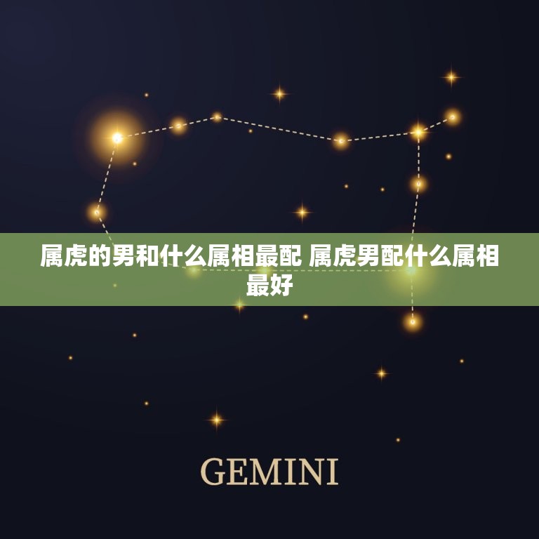 属虎的男和什么属相最配 属虎男配什么属相最好  第1张