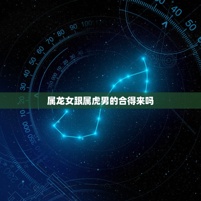 属龙女跟属虎男的合得来吗 属虎男和属龙女相配吗  第1张