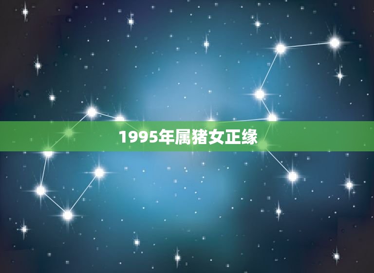 1995年属猪女正缘 95年属猪的姻缘在哪年  第1张