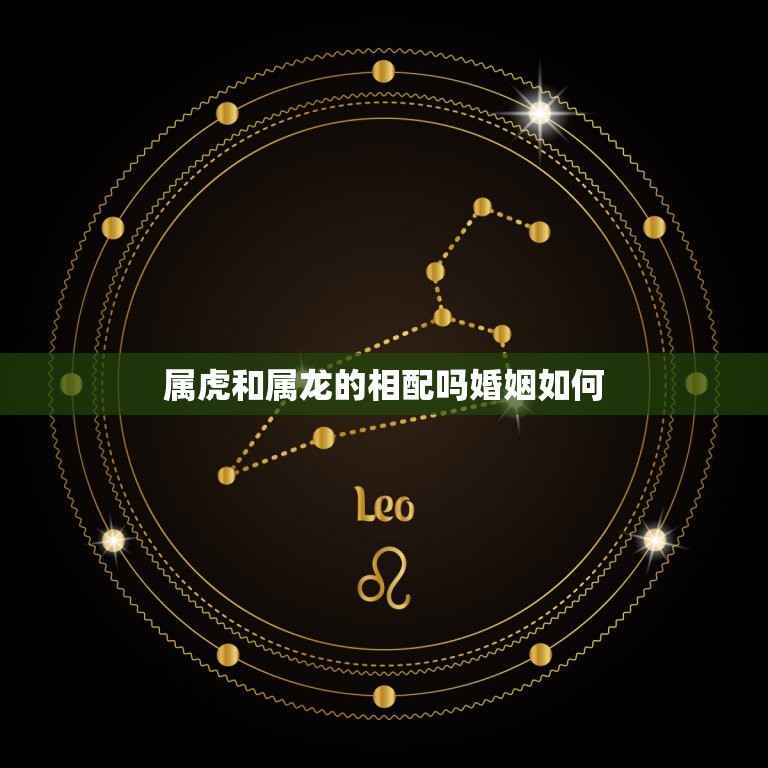 属虎和属龙的相配吗婚姻如何 女虎男龙婚姻相配吗  第1张