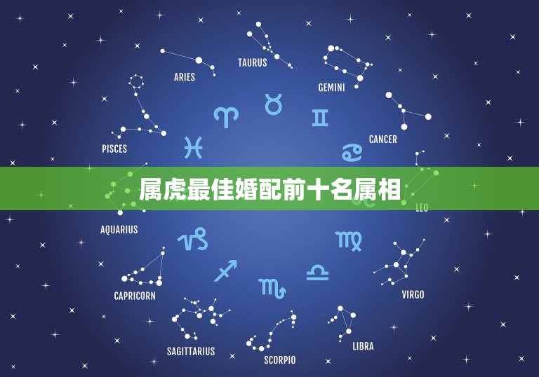 属虎最佳婚配前十名属相 属虎的和什么属相最配  第1张