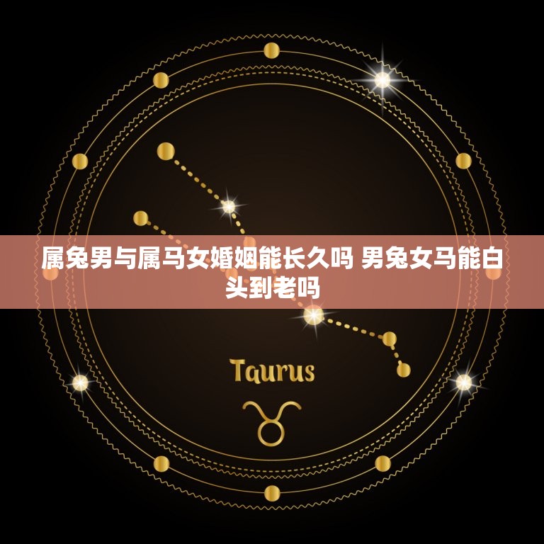 属兔男与属马女婚姻能长久吗 男兔女马能白头到老吗  第1张