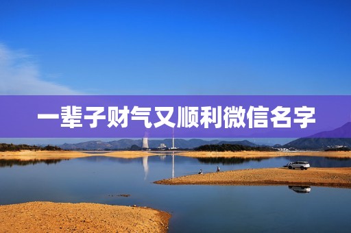 一辈子财气又顺利微信名字 男人一生最吉利的网络名字  第1张