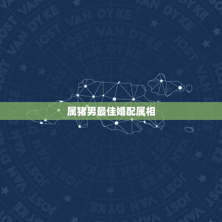 属猪男最佳婚配属相，属猪男与什么属相的女孩结婚最好  第1张