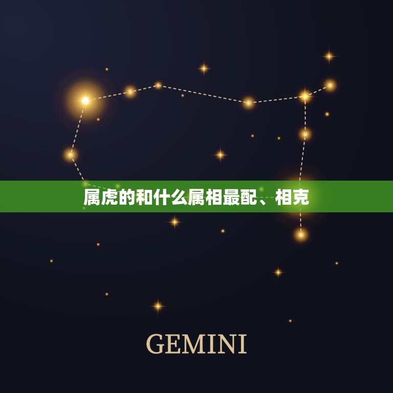 属虎的和什么属相最配、相克，属虎与什么属相相克  第1张