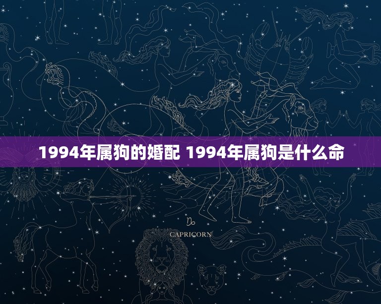 1994年属狗的婚配 1994年属狗是什么命  第1张