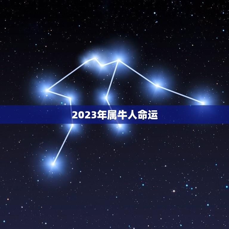 2023年属牛人命运 2023年属牛人感情运势  第1张
